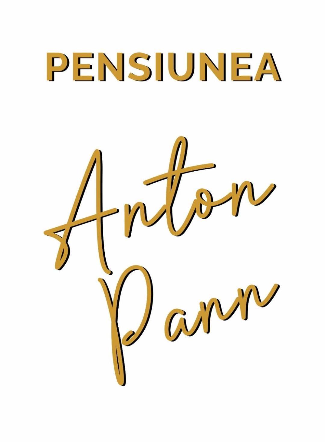 Pensiunea Anton Pann ซีบิว ภายนอก รูปภาพ